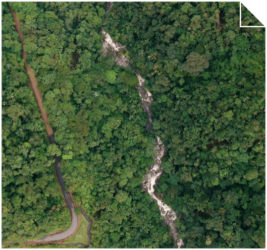 AMENAZAS Y CONSERVACIÓN DEL BOSQUE TROPICAL