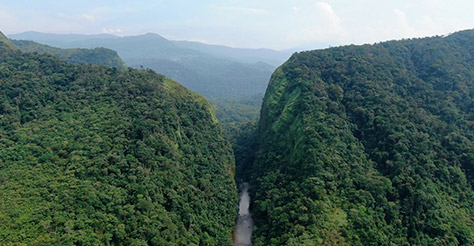 VozTerra | San José de Fragua