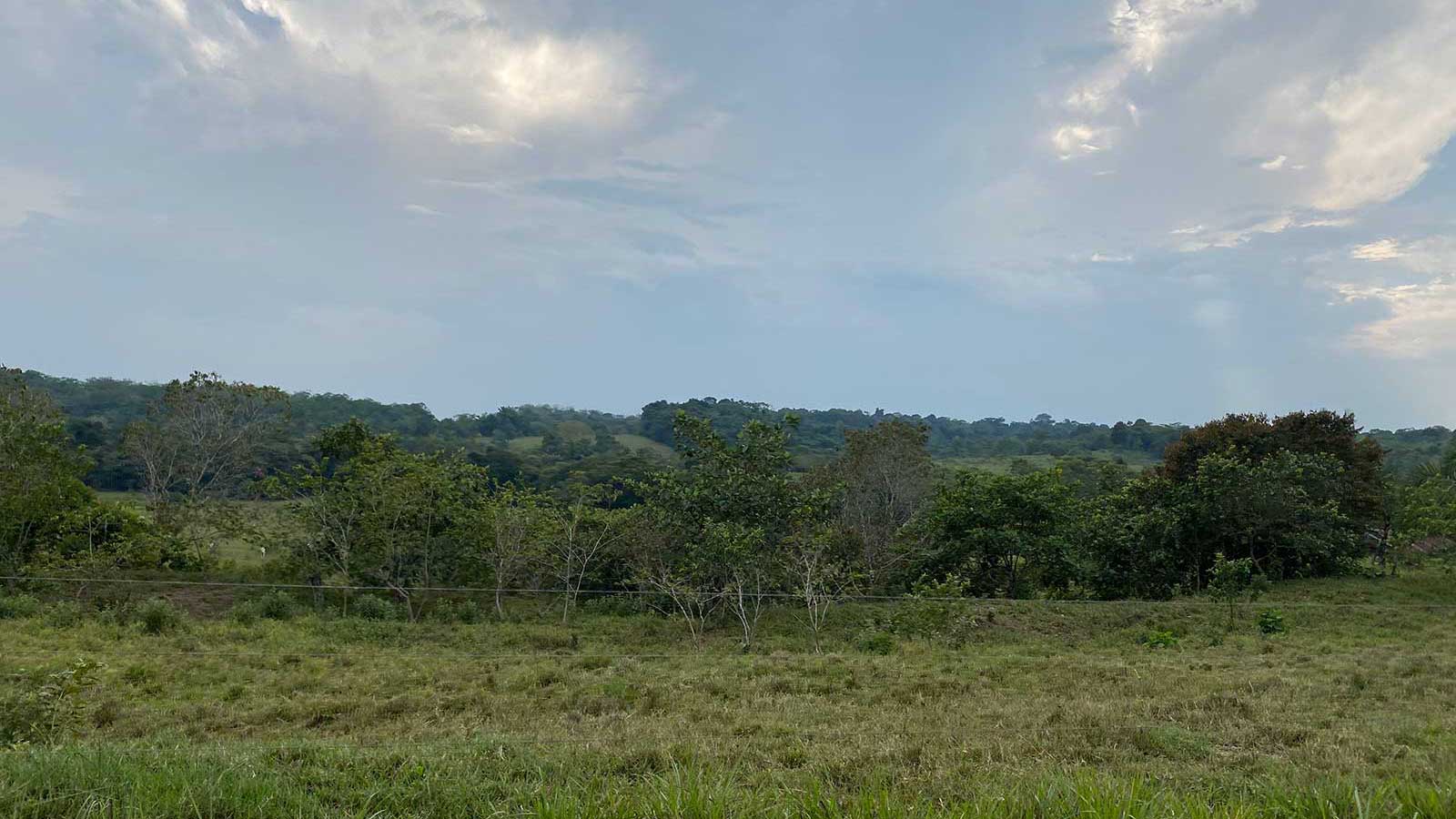 Puerto Torres, Caquetá.