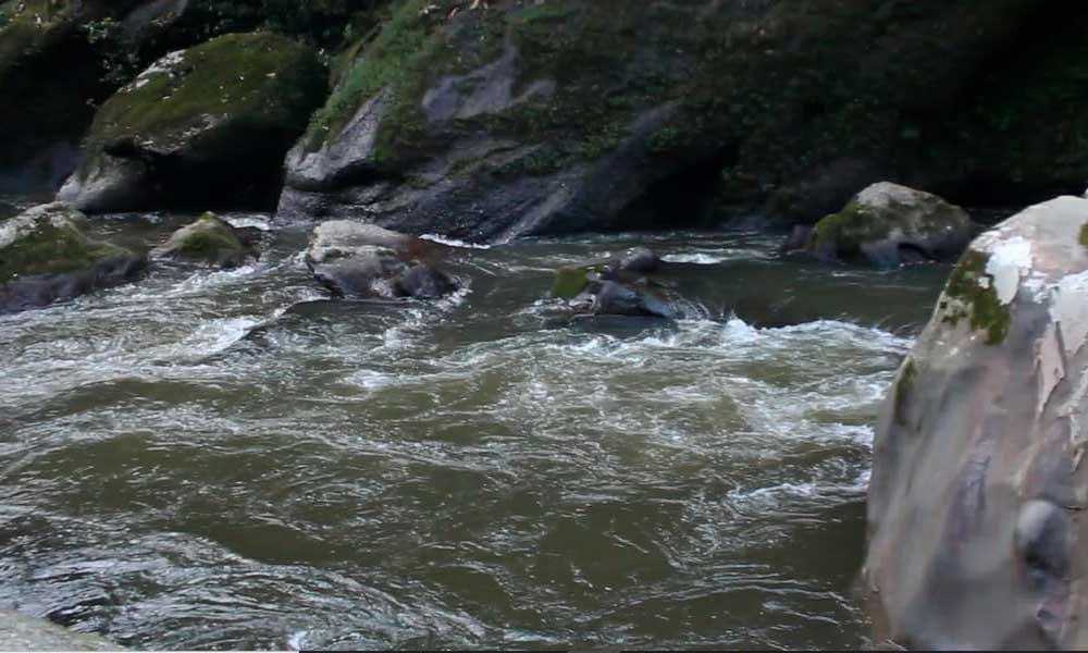 Río Sarabando, Reserva Natural y Ecoturística El Horeb, Belén de los Andaquíes, Caquetá. Foto por: Jhordy Gutierrez.