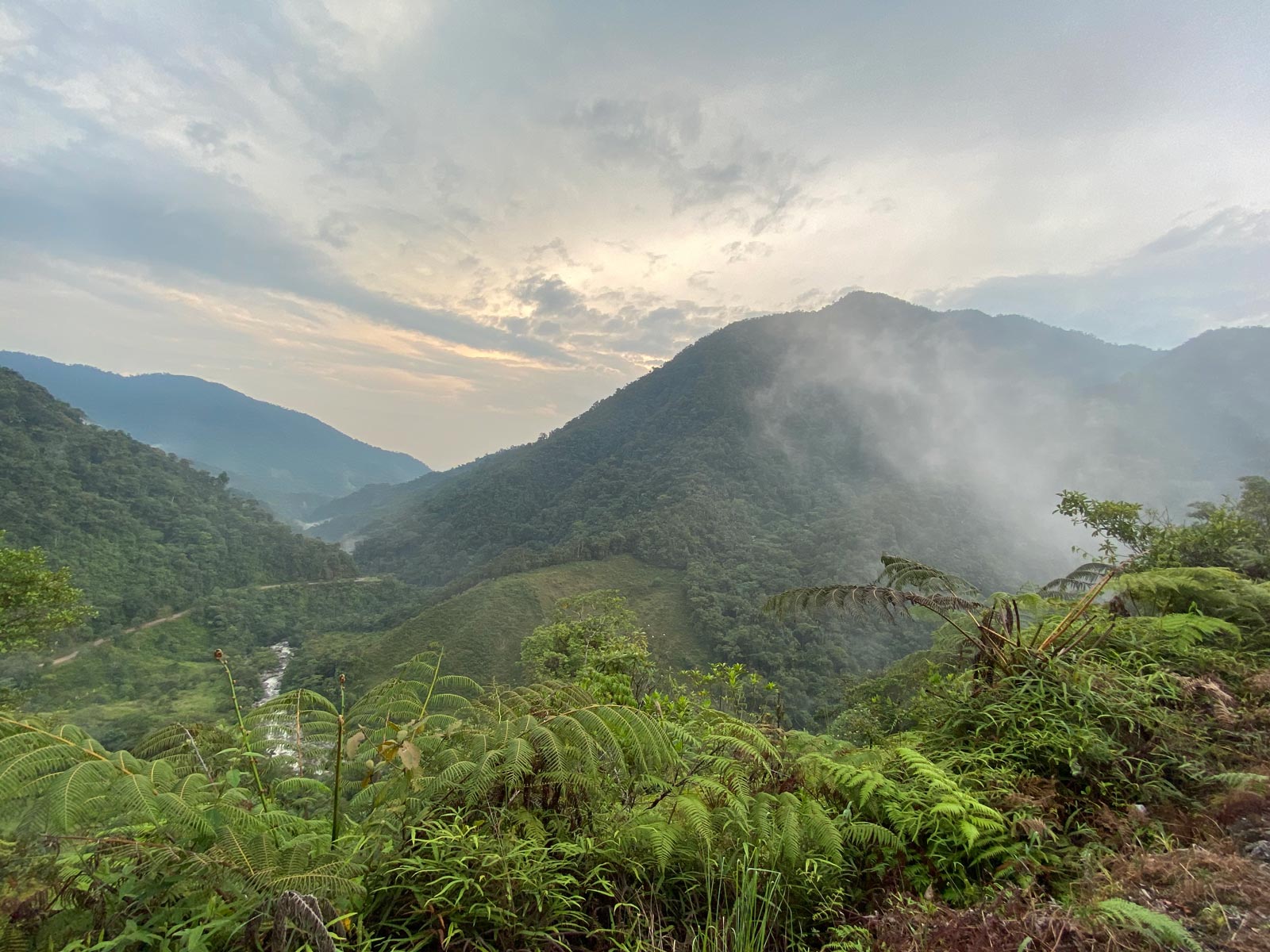 Bosque tropical. El Caraño, Caquetá.