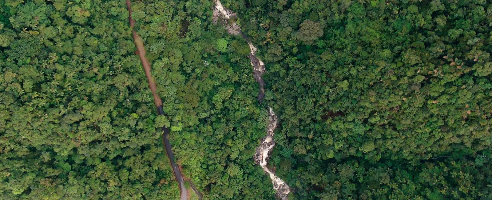 El Caraño, Caquetá. Photography by: Jhordy Gutierrez.