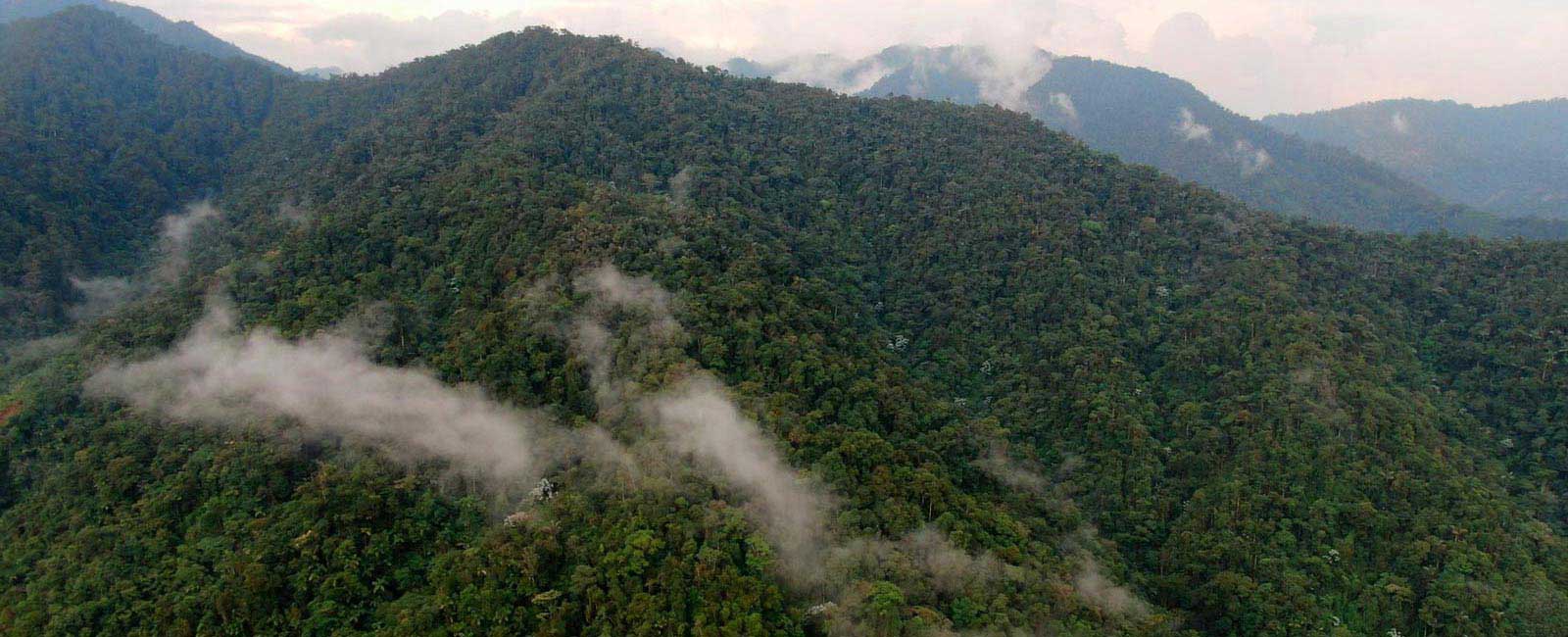 Foto Caquetá